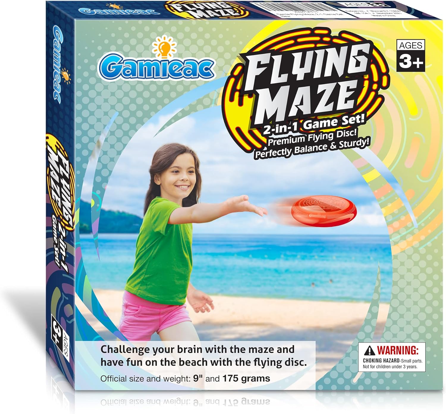 Flying Maze by Veronica R.