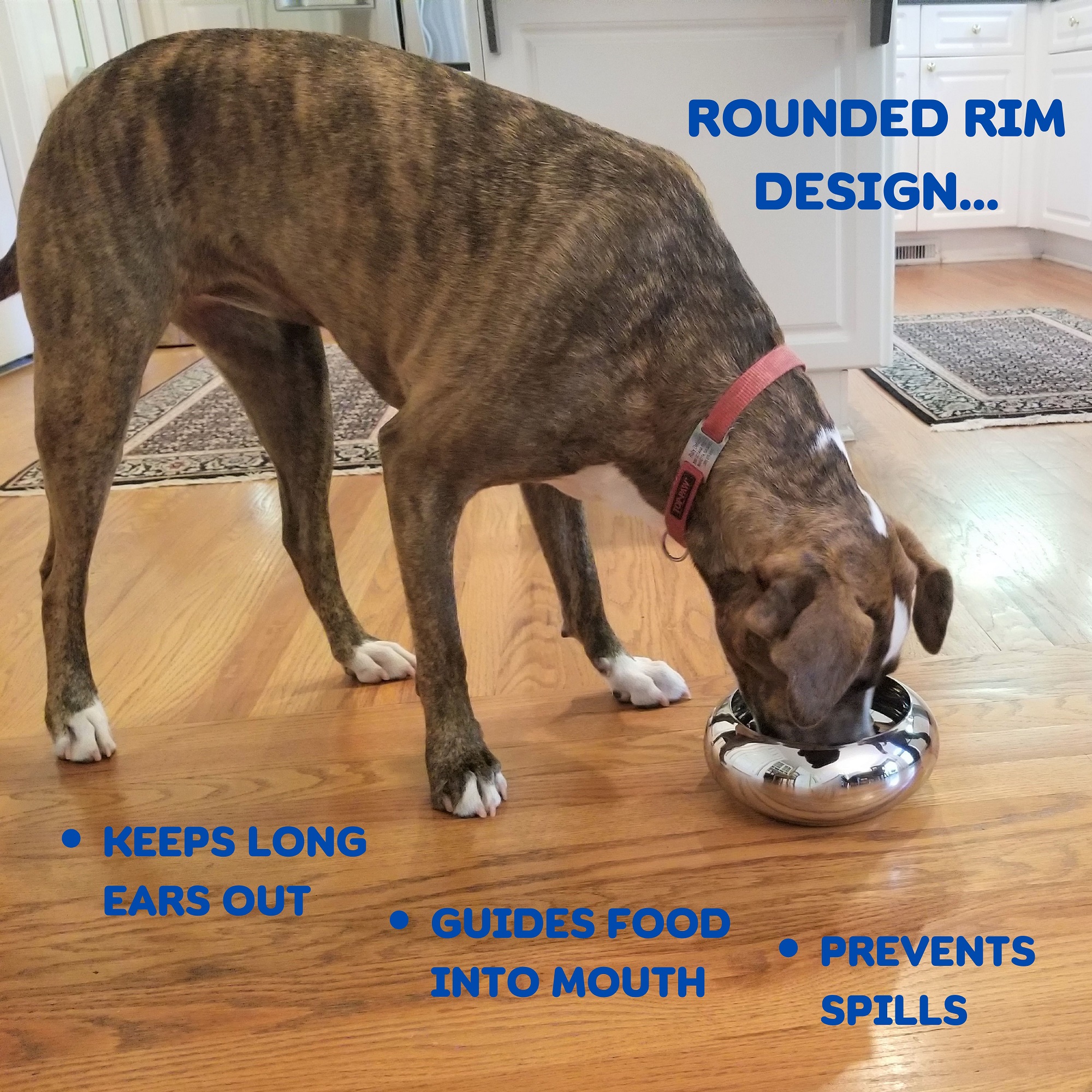 Unspill-a-Bowl® by Cigdem Delano